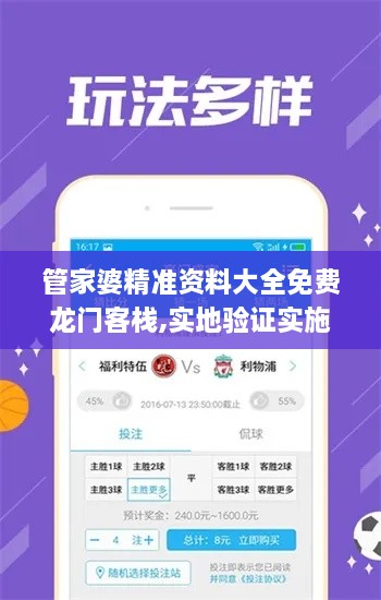管家婆精準資料大全免費龍門客棧,實地驗證實施_SDY2.57