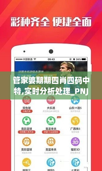 管家婆期期四肖四碼中特,實時分析處理_PNJ2.37