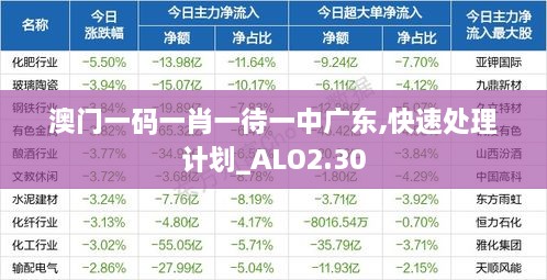 澳門一碼一肖一待一中廣東,快速處理計(jì)劃_ALO2.30