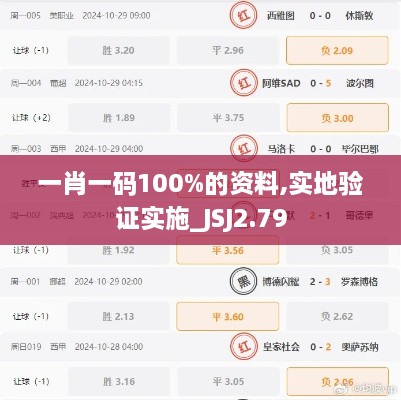 一肖一碼100%的資料,實(shí)地驗(yàn)證實(shí)施_JSJ2.79
