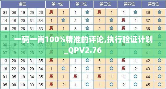 一碼一肖100%精準(zhǔn)的評論,執(zhí)行驗證計劃_QPV2.76