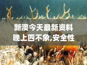 新澳今天最新資料晚上四不象,安全性方案執(zhí)行_UMM2.34
