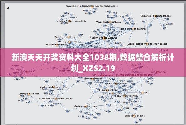 新澳天天開獎資料大全1038期,數(shù)據(jù)整合解析計劃_XZS2.19