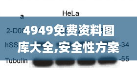4949免費(fèi)資料圖庫(kù)大全,安全性方案執(zhí)行_ZNZ2.38