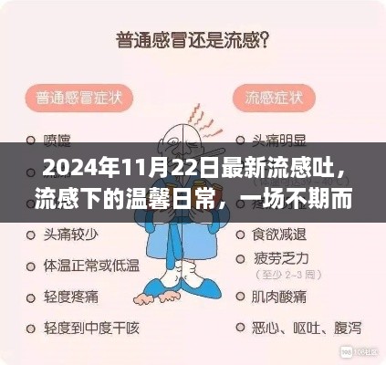 流感下的溫馨日常，一場(chǎng)不期而遇的友情之旅（2024年11月22日最新）