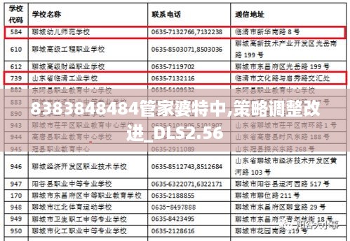 8383848484管家婆特中,策略調(diào)整改進(jìn)_DLS2.56