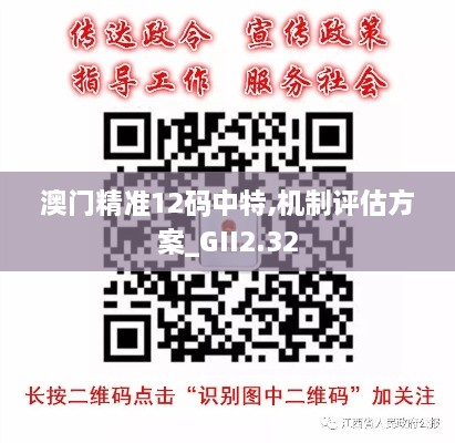 澳門精準(zhǔn)12碼中特,機制評估方案_GII2.32