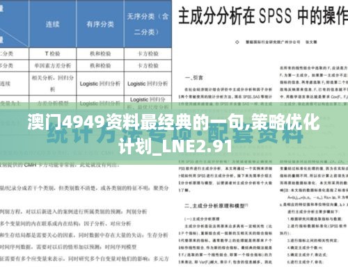 澳門4949資料最經(jīng)典的一句,策略優(yōu)化計劃_LNE2.91