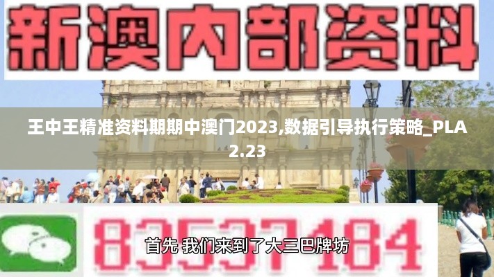 王中王精準(zhǔn)資料期期中澳門(mén)2023,數(shù)據(jù)引導(dǎo)執(zhí)行策略_PLA2.23