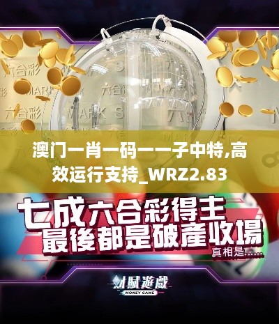 澳門一肖一碼一一子中特,高效運(yùn)行支持_WRZ2.83