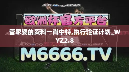 管家婆的資料一肖中特,執(zhí)行驗(yàn)證計(jì)劃_WYZ2.8