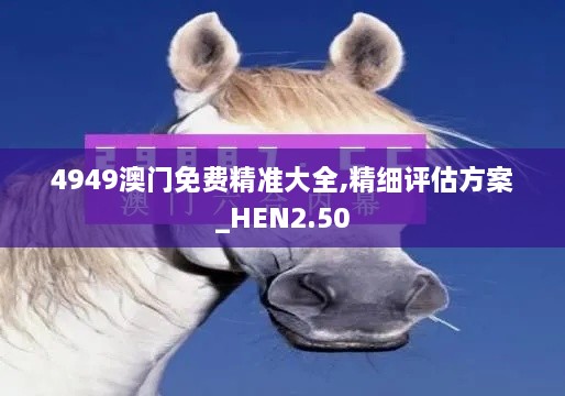 4949澳門免費(fèi)精準(zhǔn)大全,精細(xì)評估方案_HEN2.50