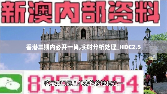 香港三期內(nèi)必開一肖,實(shí)時(shí)分析處理_HDC2.5