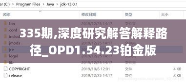 335期,深度研究解答解釋路徑_OPD1.54.23鉑金版