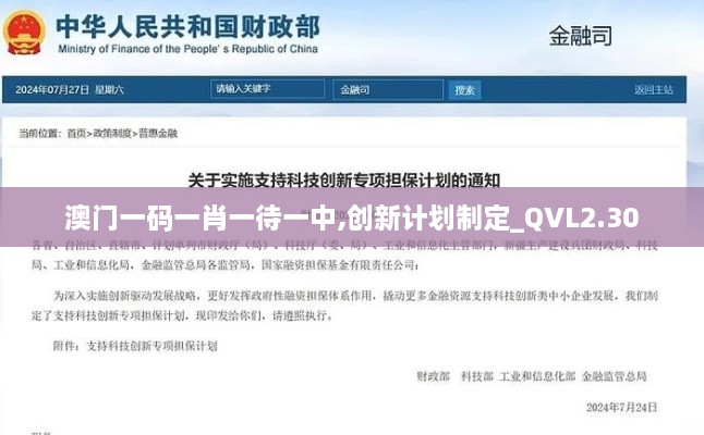 澳門(mén)一碼一肖一待一中,創(chuàng)新計(jì)劃制定_QVL2.30
