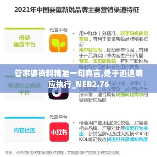 管家婆資料精準(zhǔn)一句真言,處于迅速響應(yīng)執(zhí)行_NEB2.76