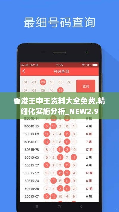 香港王中王資料大全免費(fèi),精細(xì)化實(shí)施分析_NEW2.9