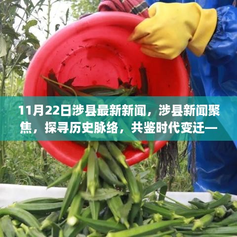 涉縣新聞聚焦，探尋歷史脈絡(luò)，共鑒時代變遷——十一月二十二日要聞回顧與最新動態(tài)