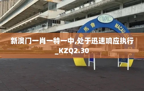 新澳門一肖一特一中,處于迅速響應(yīng)執(zhí)行_KZQ2.30