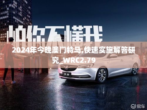 2024年今晚澳門特馬,快速實施解答研究_WRC2.79