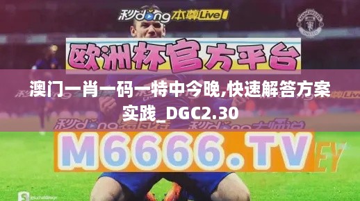 澳門一肖一碼一特中今晚,快速解答方案實(shí)踐_DGC2.30