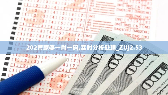 202管家婆一肖一碼,實(shí)時分析處理_ZUJ2.53