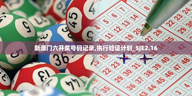新澳門六開獎號碼記錄,執(zhí)行驗(yàn)證計(jì)劃_SJE2.16