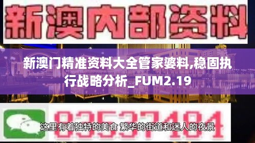 新澳門精準(zhǔn)資料大全管家婆料,穩(wěn)固執(zhí)行戰(zhàn)略分析_FUM2.19