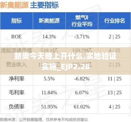 新奧今天晚上開什么,實(shí)地驗(yàn)證實(shí)施_EJP2.28