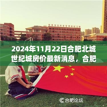 合肥北城世紀(jì)城房?jī)r(jià)走勢(shì)深度解析，最新消息與多維度觀點(diǎn)探討（2024年11月22日）