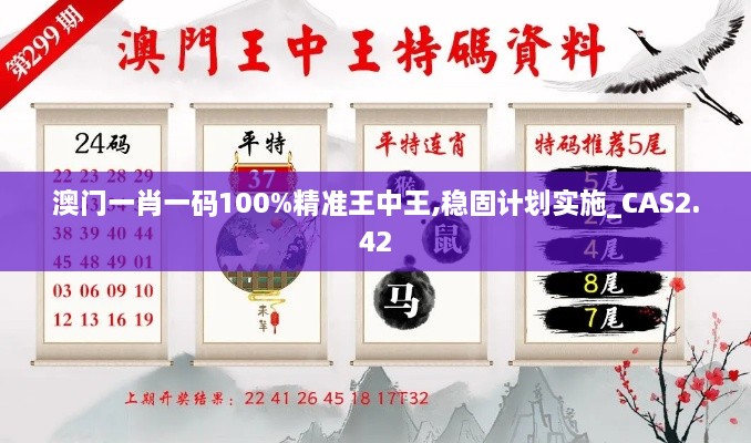 澳門一肖一碼100%精準(zhǔn)王中王,穩(wěn)固計(jì)劃實(shí)施_CAS2.42
