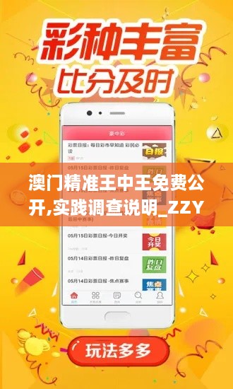 澳門精準(zhǔn)王中王免費(fèi)公開,實(shí)踐調(diào)查說明_ZZY2.42