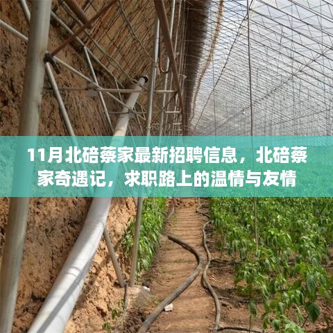 北碚蔡家最新招聘信息揭秘，求職路上的奇遇記與溫情友情之旅