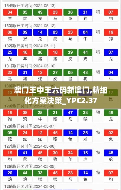 澳門王中王六碼新澳門,精細(xì)化方案決策_(dá)YPC2.37