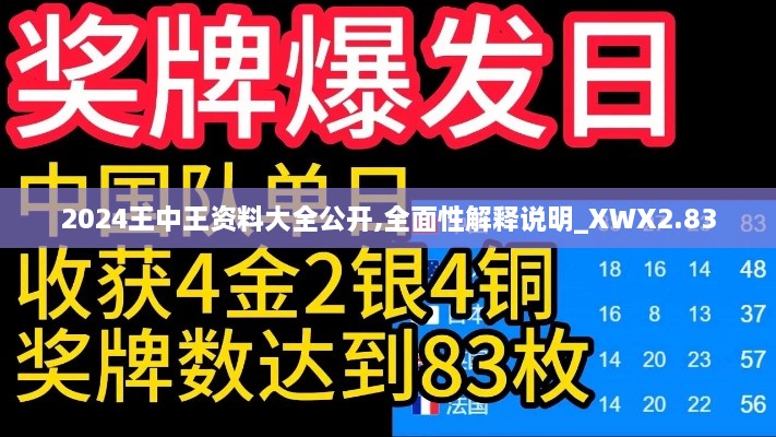 2024王中王資料大全公開,全面性解釋說明_XWX2.83