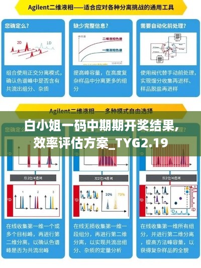 白小姐一碼中期期開獎結(jié)果,效率評估方案_TYG2.19