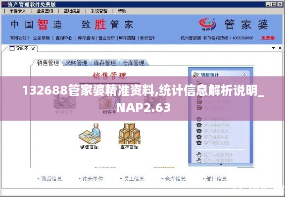 132688管家婆精準資料,統(tǒng)計信息解析說明_NAP2.63