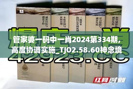 管家婆一碼中一肖2024第334期,高度協調實施_TJO2.58.60神念境