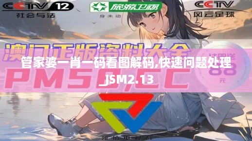 管家婆一肖一碼看圖解碼,快速問題處理_JSM2.13