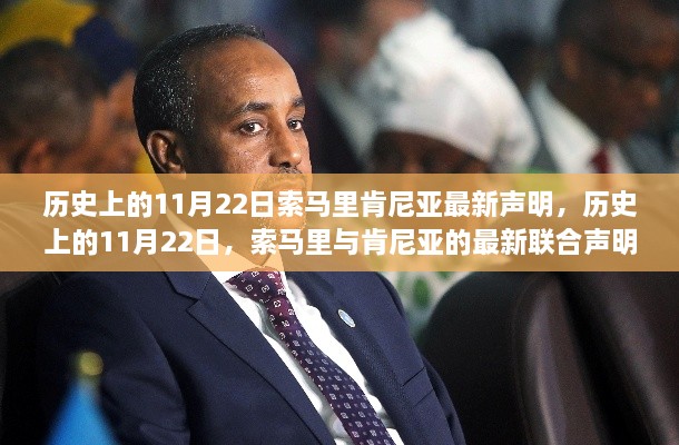 索馬里與肯尼亞最新聯(lián)合聲明發(fā)布于歷史上的11月22日，深遠(yuǎn)影響的聯(lián)合聲明揭秘