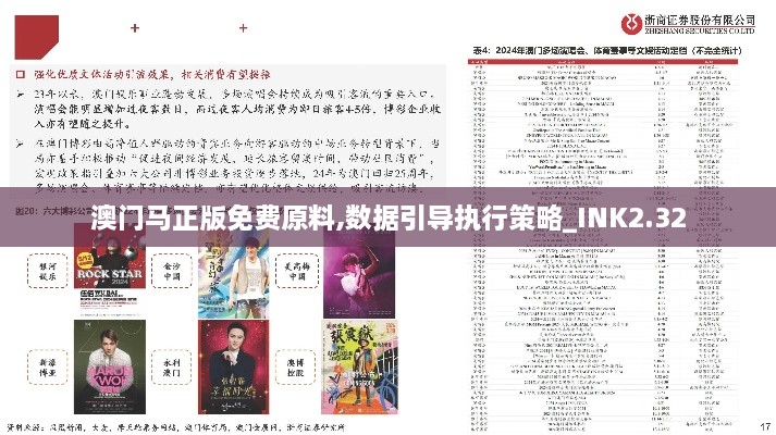 澳門馬正版免費原料,數(shù)據(jù)引導(dǎo)執(zhí)行策略_INK2.32