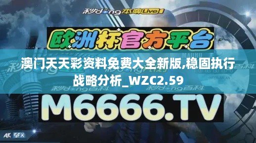 澳門天天彩資料免費大全新版,穩(wěn)固執(zhí)行戰(zhàn)略分析_WZC2.59