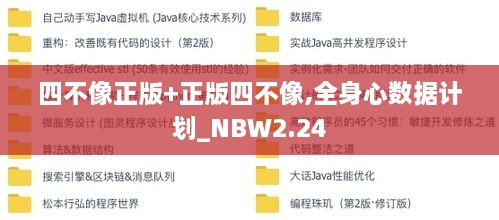 四不像正版+正版四不像,全身心數(shù)據(jù)計劃_NBW2.24