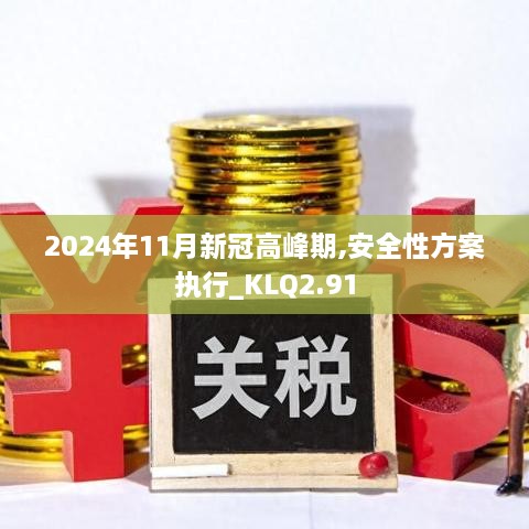 2024年11月新冠高峰期,安全性方案執(zhí)行_KLQ2.91
