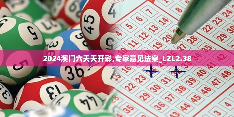 2024澳門六天天開彩,專家意見法案_LZL2.38