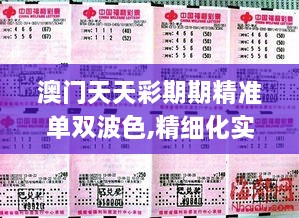 澳門天天彩期期精準(zhǔn)單雙波色,精細(xì)化實(shí)施分析_KQN2.51