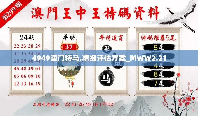 4949澳門特馬,精細(xì)評(píng)估方案_MWW2.21