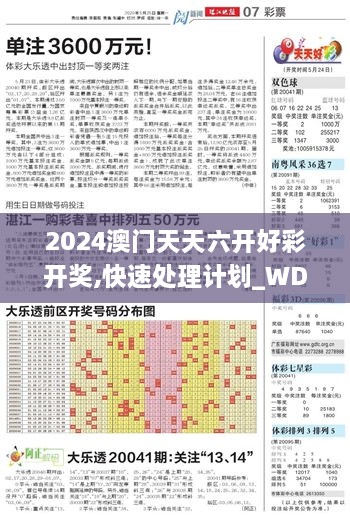 2024澳門天天六開好彩開獎,快速處理計劃_WDK2.52