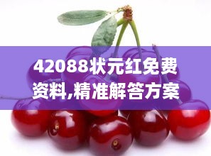 42088狀元紅免費(fèi)資料,精準(zhǔn)解答方案詳解_KMF2.23