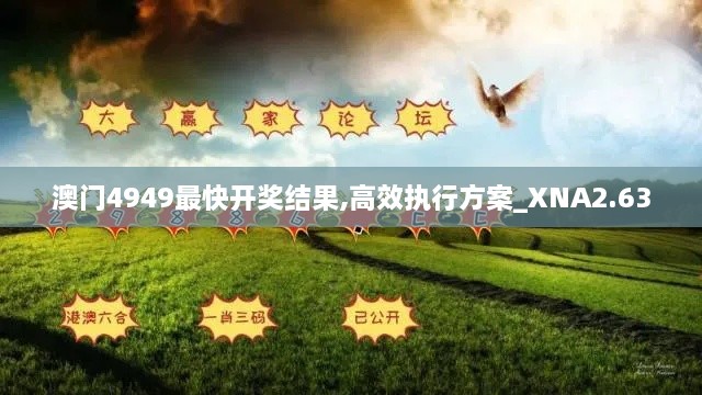 澳門(mén)4949最快開(kāi)獎(jiǎng)結(jié)果,高效執(zhí)行方案_XNA2.63